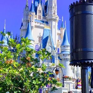 Meet your Posher, Iris